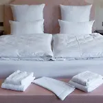酒店 Schlosshotel Neustrelitz 施特雷利茨
